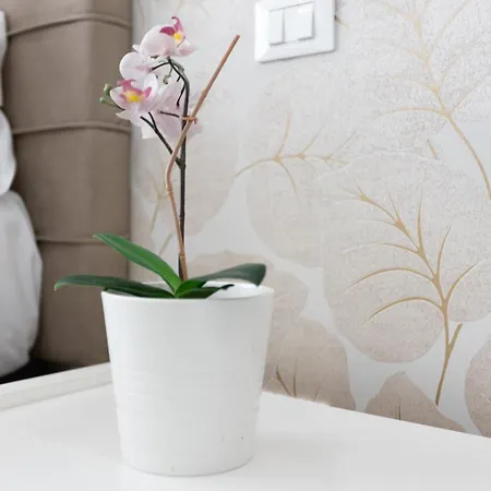 247 Luxury Trastevere Pensión Roma