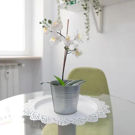 Pensión 247 Luxury Trastevere Roma