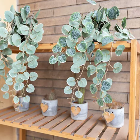 Pensión 247 Luxury Trastevere