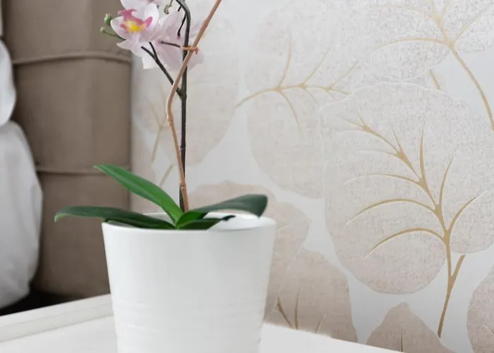 247 Luxury Trastevere Vendégház Róma