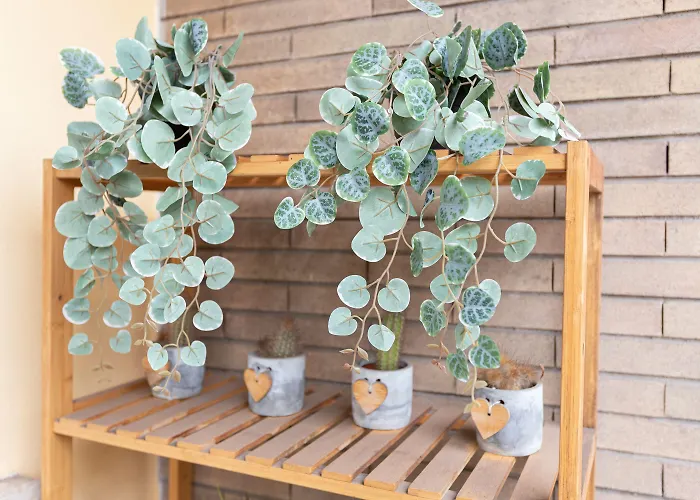 Vendégház 247 Luxury Trastevere